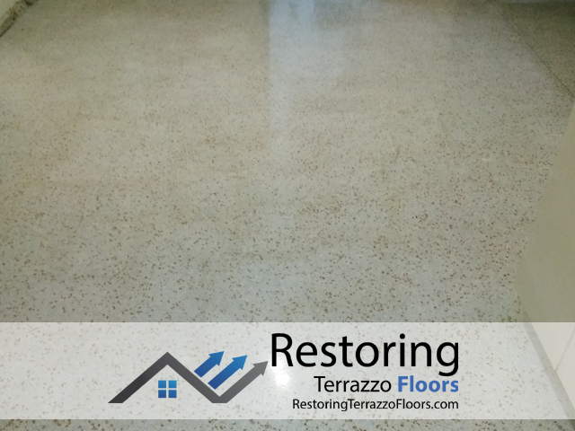 Terrazzo Floor Restoration Service